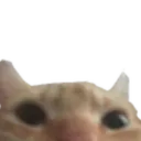 peeks