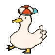 duckDance