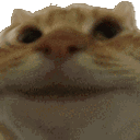 yes animated Discord emote | FriendZone | Make Friends ⋅ Fun Chill Active Chat ⋅ VC Social Gaming ⋅ Memes ⋅ Nitro Emojis ⋅ Anime