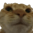 no animated Discord emote - FriendZone | Make Friends ⋅ Fun Chill Active Chat ⋅ VC Social Gaming ⋅ Memes ⋅ Nitro Emojis ⋅ Anime