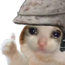 OkSadCat