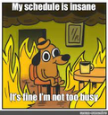 bagelland_DND_dog Discord emoji