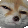 Dag_Stare Discord emoji