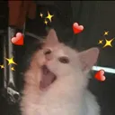 UWAAAA