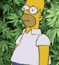 weedhomer weedhomer