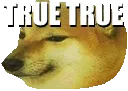 trueeee