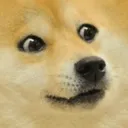 ori_dogwow