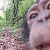 Lick