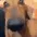 DogLookingSussyAndCute DogLookingSussyAndCute