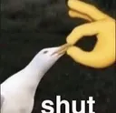 shut