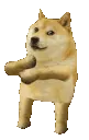 dogedance