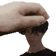 1_hewpets Discord emoji