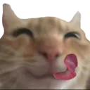 Yummycat Discord Emoji