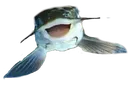 Lasagna