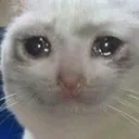 sob