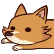 Corgi1