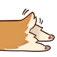 Corgi3