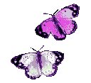 LC_purple_butterflies Discord Emoji