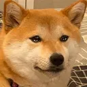 sadoge