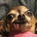 emoji_68