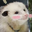 possblush