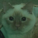 EN_motato Discord emoji