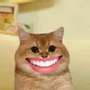 NGS_CatEhehe