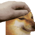 cheems_pet Discord emoji