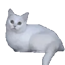 SCexit