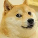 doge_SIN Discord Emoji
