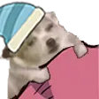 ChiwaSleep