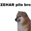 zhr_z_zeherpila