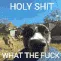 holyshit holyshit