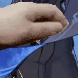 dainbuttpet dainbuttpet