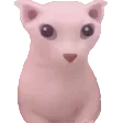 bingus