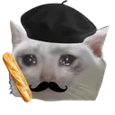 frenchsadcat