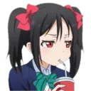 1Nico_Sip 1Nico_Sip