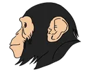 monke