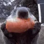 downbad downbad