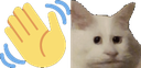 speebwave