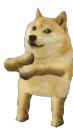 dancingdoge