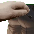 zhongliasspet