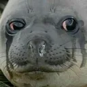 sadboy sadboy