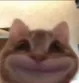 jaredsmile