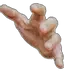hand1