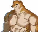 Buffdoge