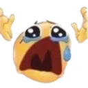 cryWhy