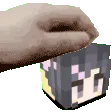 newsychicpet