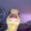 emoji_65