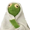 kermitcozy